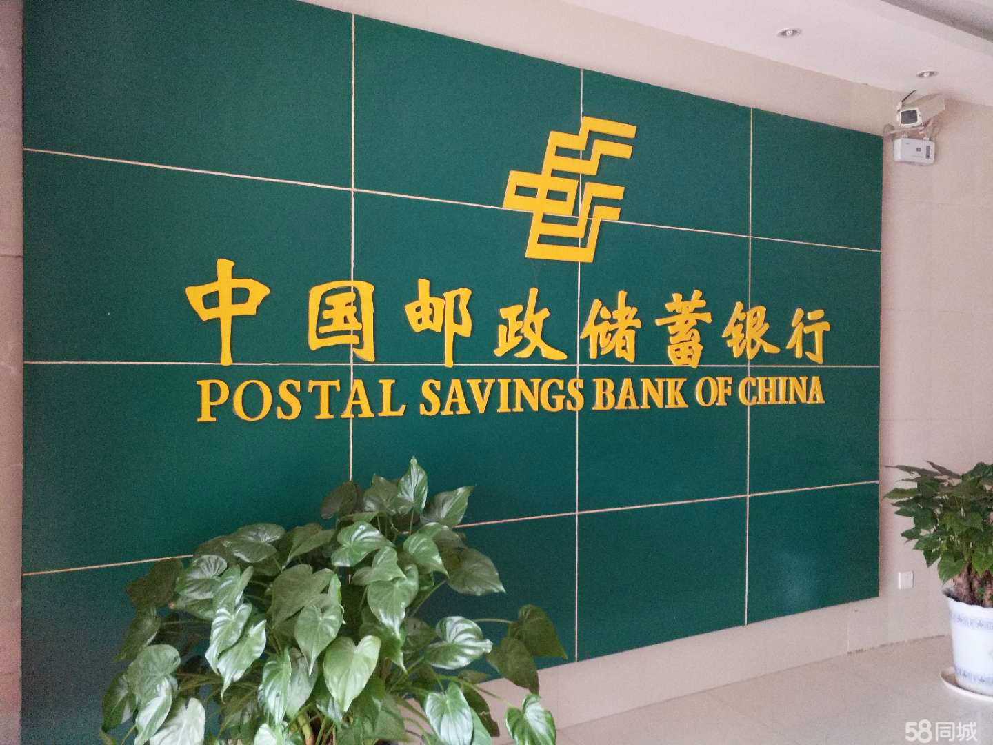 咸寧穩健商務信息咨詢 賦能企業決策的智慧伙伴